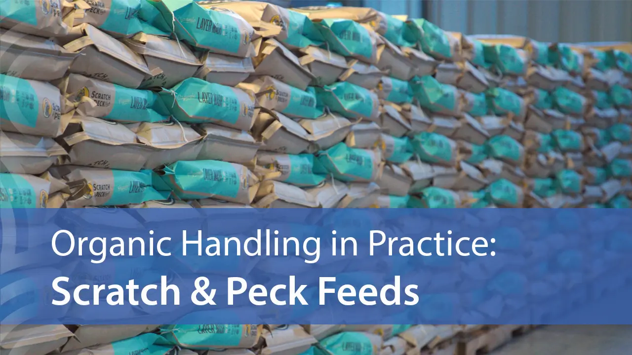 Organic Handling in Practice: Scratch & Peck Feeds