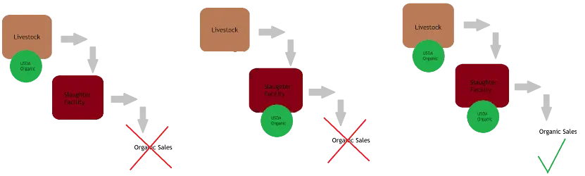 Diagram of livestock handling pathway from conventional to organic certified sales.