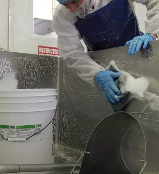 Workers in protective aprons, gloves and hairnets scrubbing stainless steel processing equipment with foaming sanitiser.