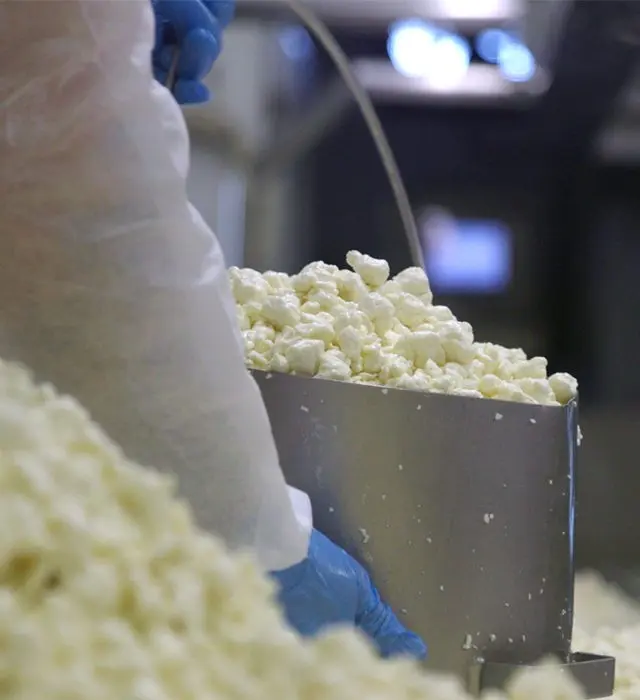 Video Profile: Cedar Grove Cheese