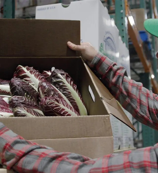 Video Profile: Organically Grown Company