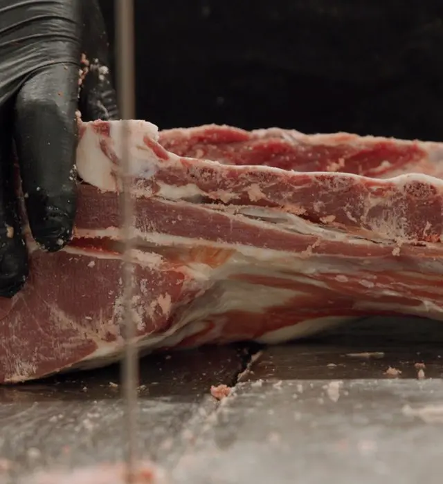 Video Profile: Sailer’s Food Market & Meat Processing