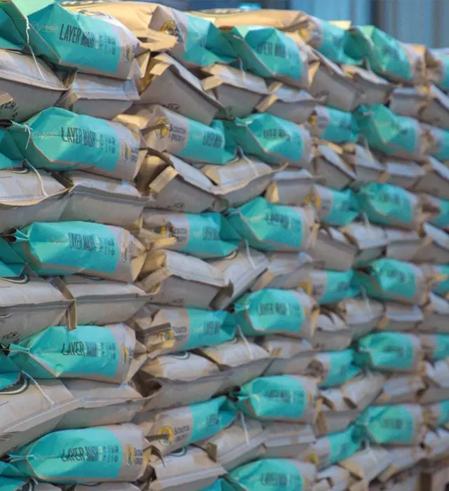 Video Profile: Scratch & Peck Feeds