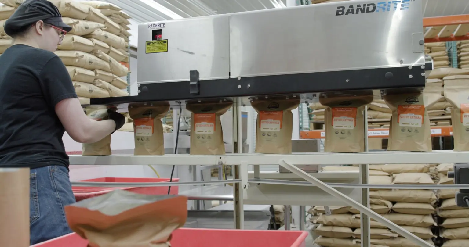 Worker sealing rows of paper flour bags on a band-sealing machine