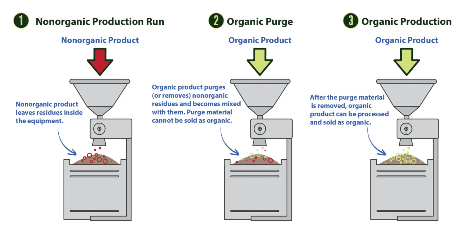 Three-stage purge diagram of the same hopper mill: a nonorganic production run leaves residues inside the equipment, an organic purge run carries those residues out and cannot itself be sold as organic, and only the third run is processed and sold as organic