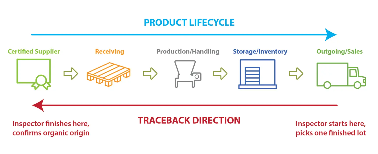 The Direction of a Traceback