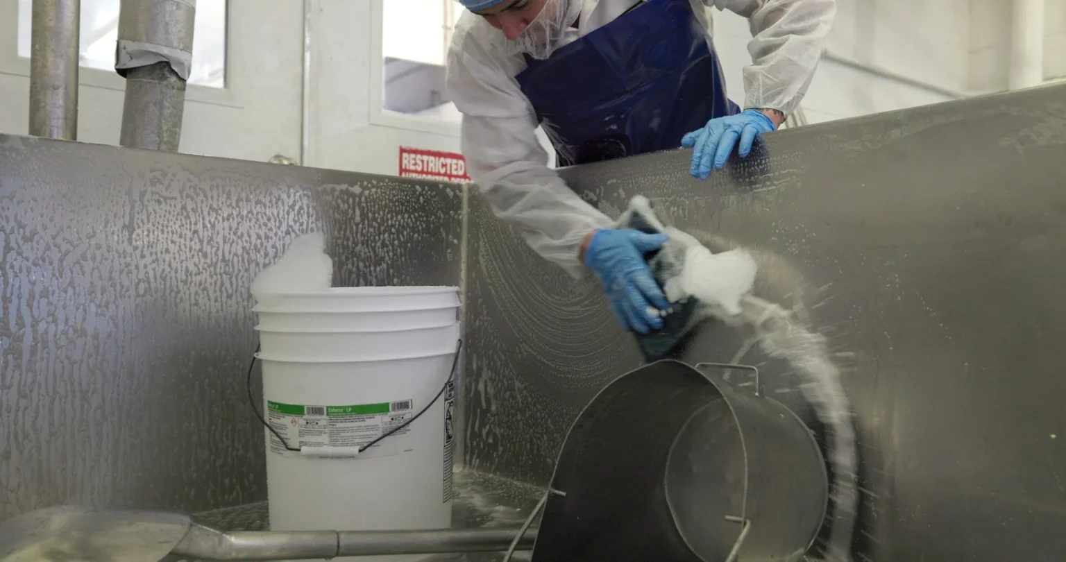Worker in protective apron and gloves scrubbing foam-covered stainless steel vat walls with a scouring pad beside a bucket of cleaning solution near a restricted-access door