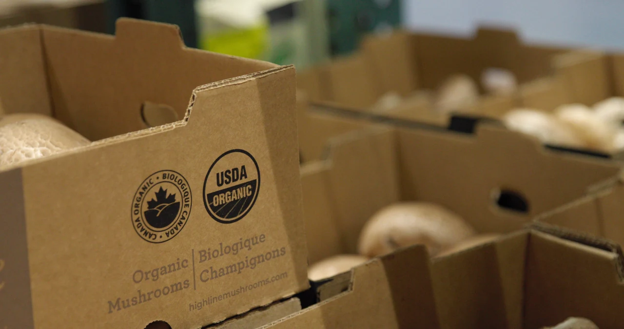 Anatomy of a USDA Organic Certificate
