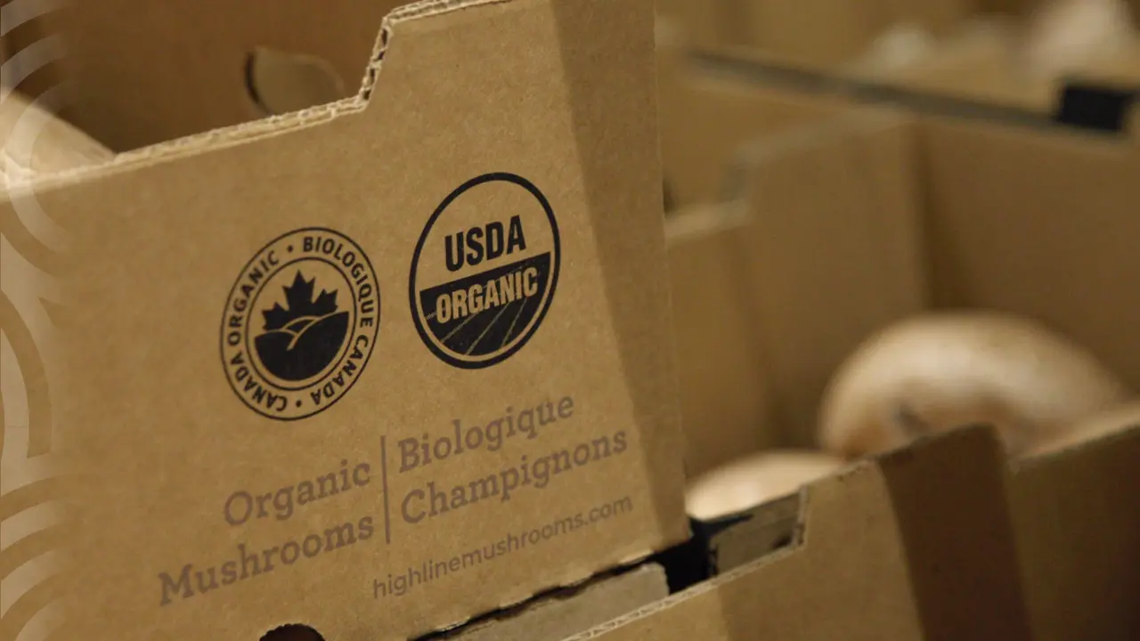 Certified organic mushroom packaging bearing organic seals